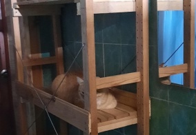 Коттедж Благодать в Архипо-Осиповке