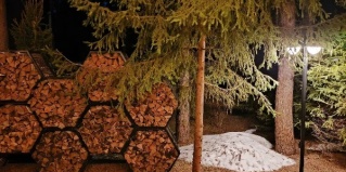 Всеволожский муниципальный район: Коттедж Миден