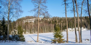 Кирьявалахти: Отель Загородный отель Гора