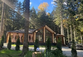 Турбаза Wood palace в Архызе