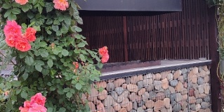 Архипо-Осиповка: Гостевой дом Оранж