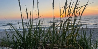 Зеленоградск: Кемпинг Куршале