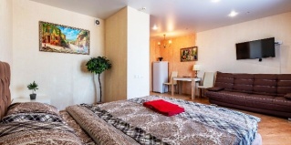 Екатеринбург: Апартаменты DreamHouse