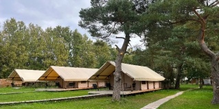 Зеленоградск: Глэмпинг Малина
