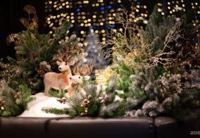 Отель Adagio в Москве