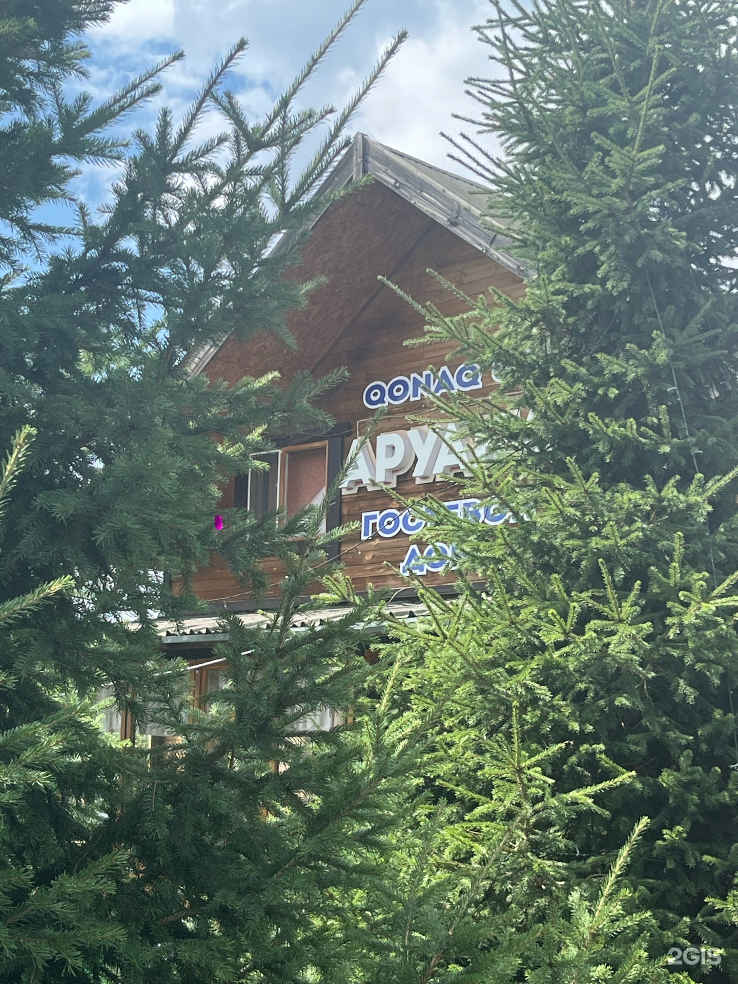 Аруана