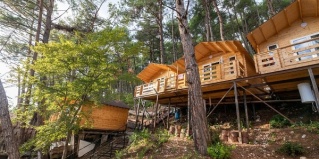 Багрыпста: Турбаза Солнечный