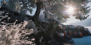 Чемальский район: Курортный отель Klever resort&SPA