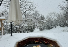 Турбаза Эко Вилладж Сочи в Краснодарском крае