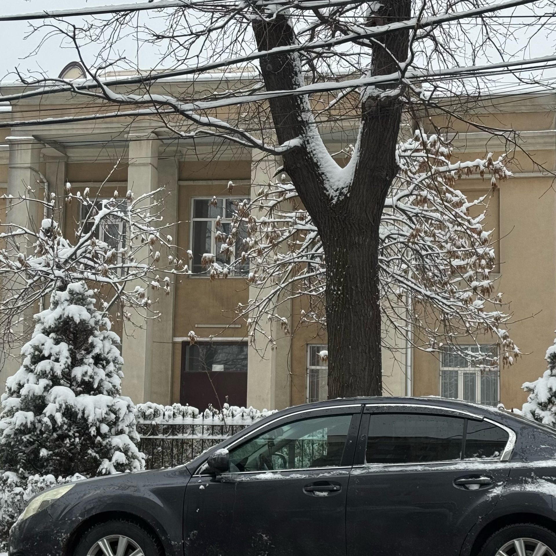 Современный вид; дата публикации в 2GIS