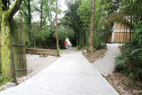 Сочи: Гостевой дом Бамбуковая роща