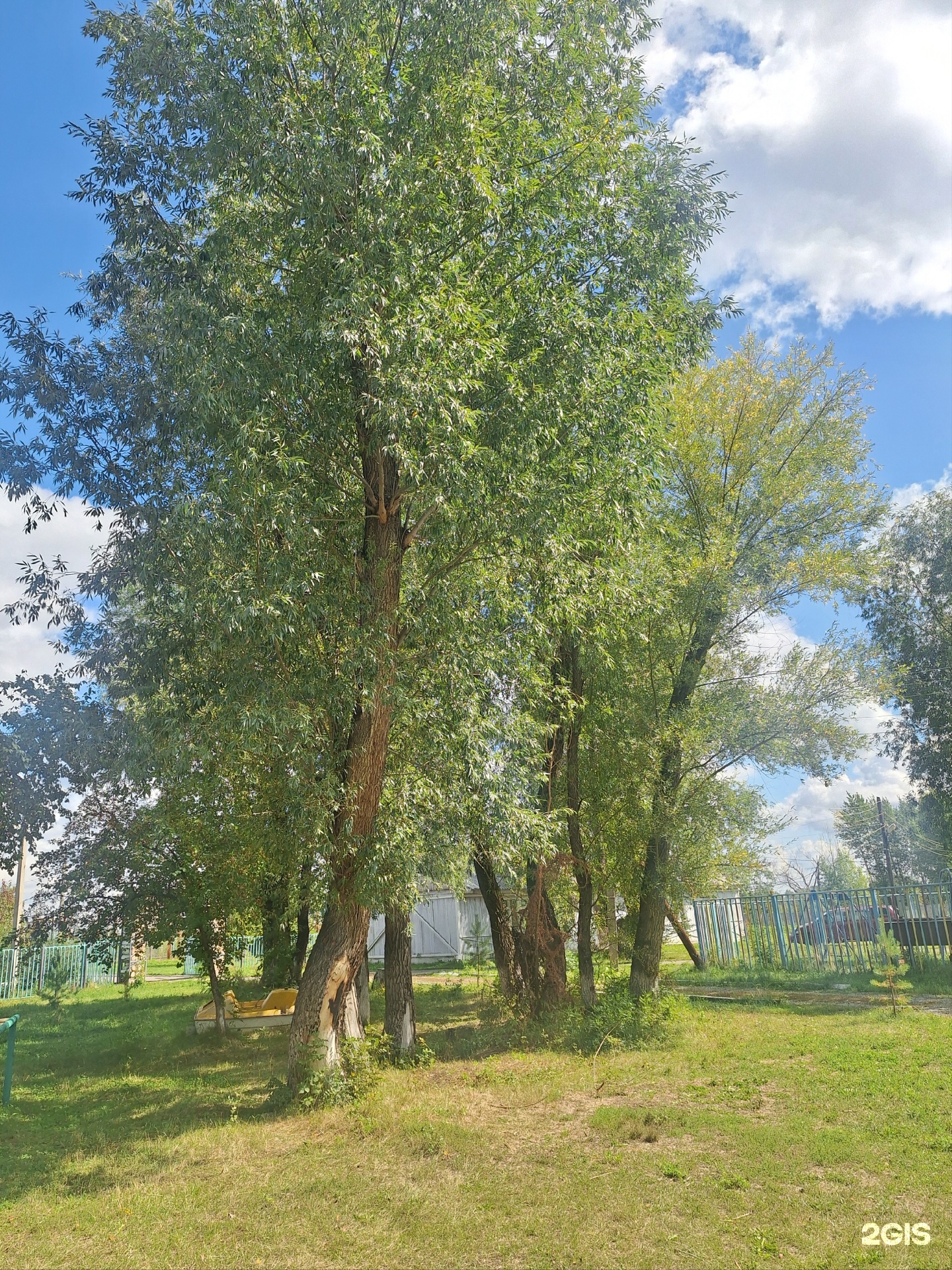 Энергетик