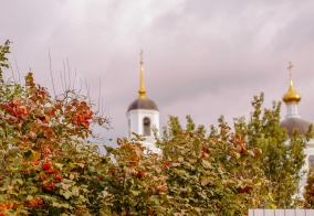Гостевой дом Альтернатива в Рязанской области