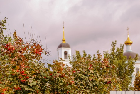 Рязань: Гостевой дом Альтернатива