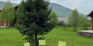 Озерное: Коттедж Солнечный луч