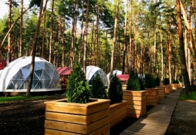 Глэмпинг Royal Forest в Республике Алтай