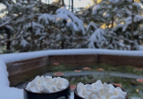 Глэмпинг BamBoo Village в Свердловской области