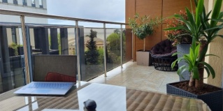 Сочи: Отель Svetlana District