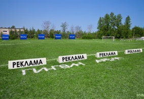 Мини-отель Пингвин в Санкт-Петербурге