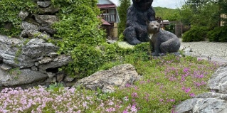 Даховская: Гостевой дом Корнилофф от Травел Хотелс Антураж