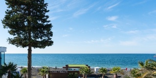 Сочи: Отель Артапарт