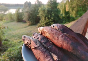 Гостевой дом LesDankin в Рязанской области