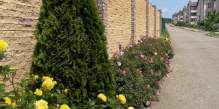 Дивноморское: Гостевой дом Александрия