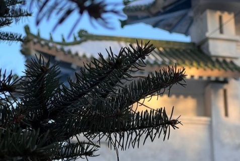 Благовещенск: Коттедж Золотой дракон