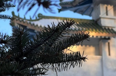 Благовещенск: Коттедж Золотой дракон