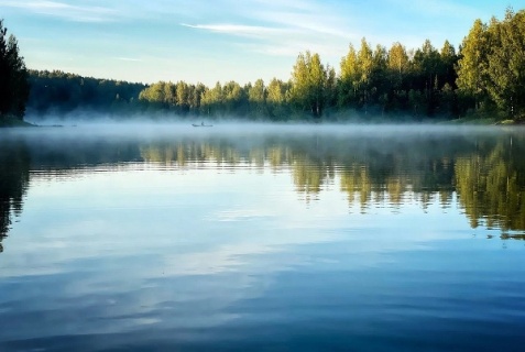 Бобровник: Отель Лесной берег