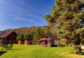 Коттедж Greenwood в Республике Алтай